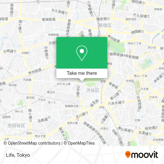 Life map