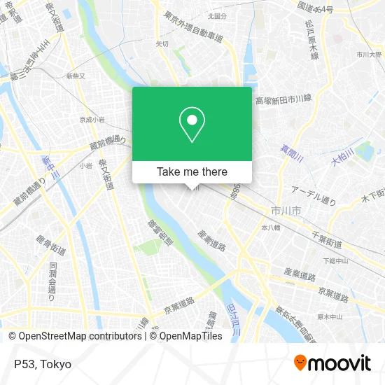 P53 map
