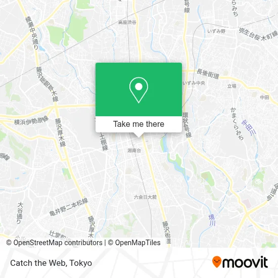 Catch the Web map