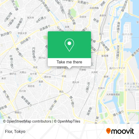 Flor map