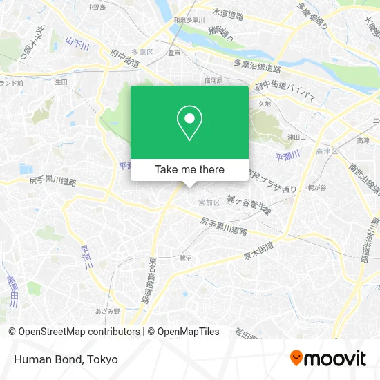 Human Bond map