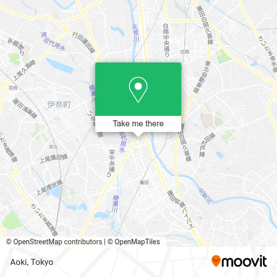 Aoki map