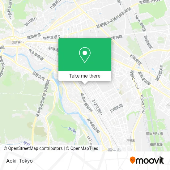 Aoki map