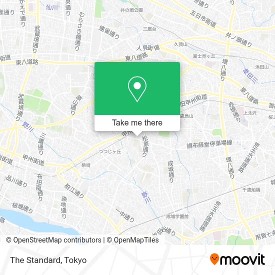 The Standard map