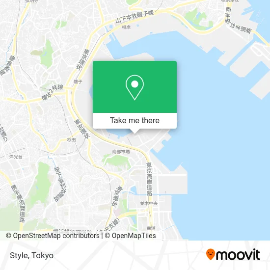 Style map
