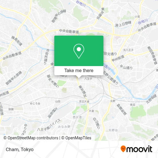 Cham map