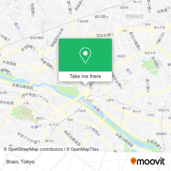 Brain map