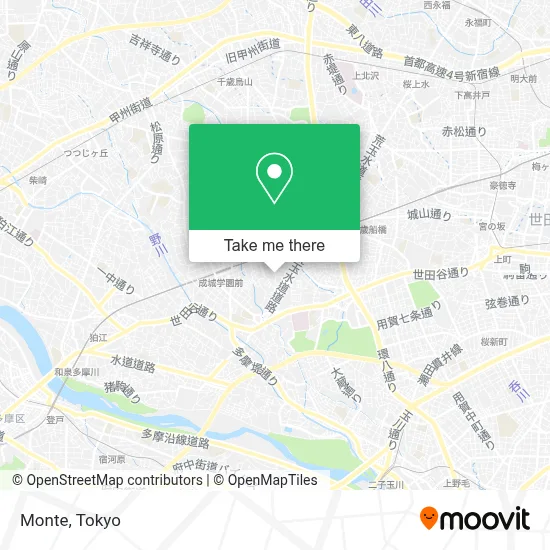 Monte map