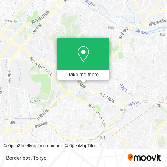 Borderless map