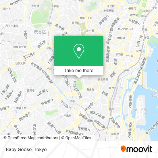Baby Goose map