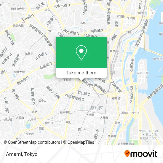 Amami map