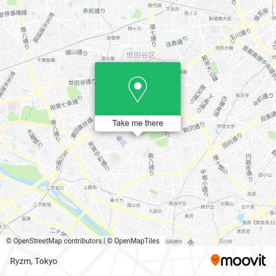 Ryzm map