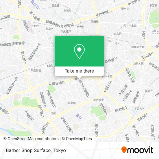 Barber Shop Surface map