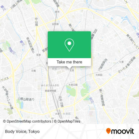 Body Voice map