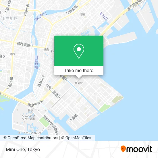 Mini One map