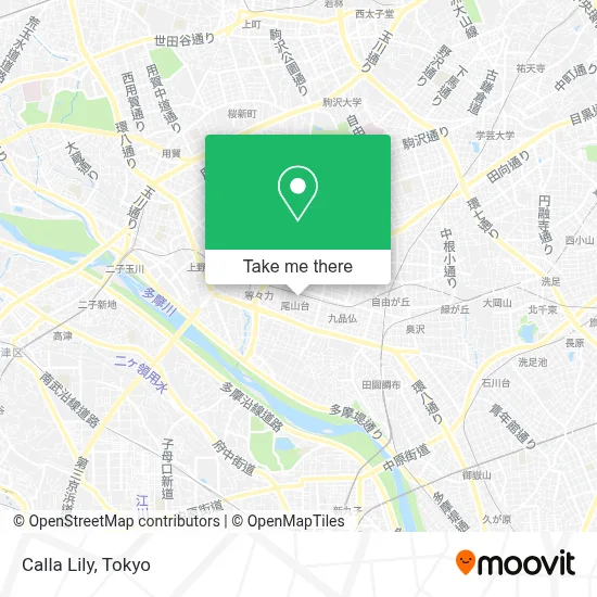 Calla Lily map