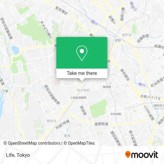 Life map