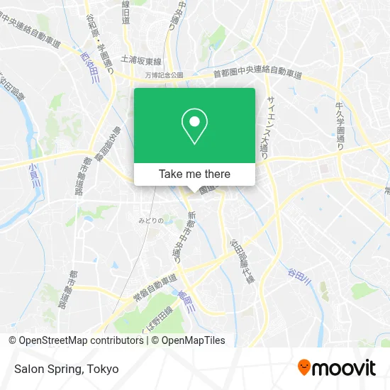 Salon Spring map