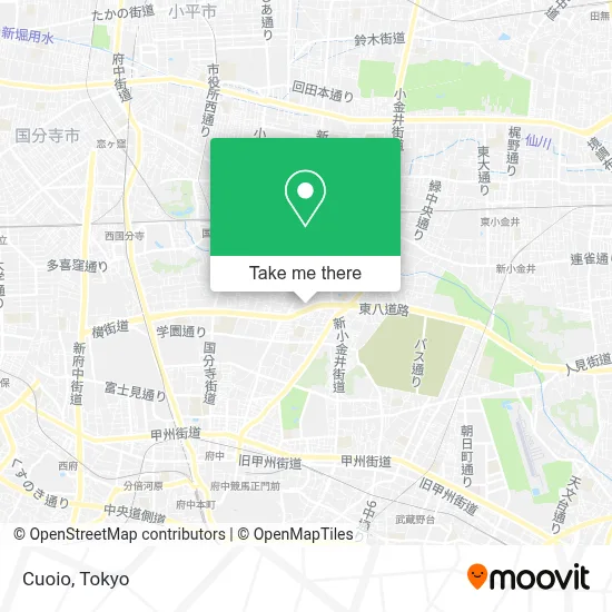 Cuoio map