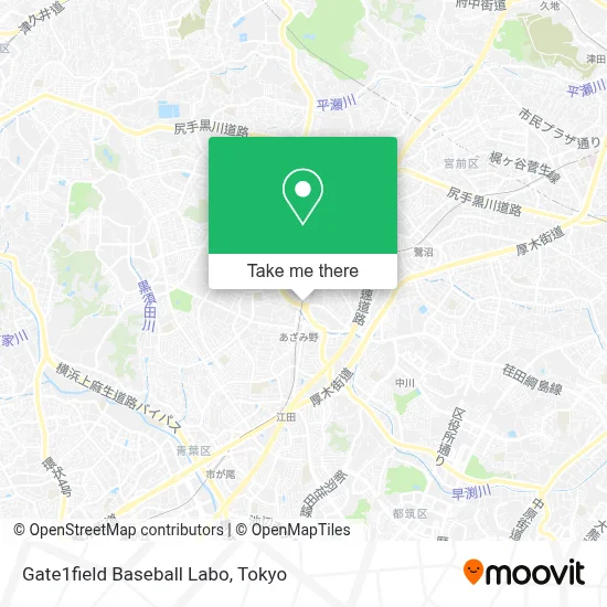 Gate1field Baseball Labo map