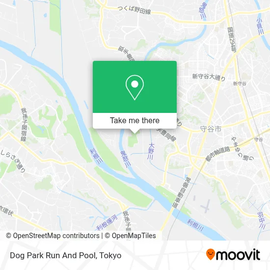 Dog Park Run And Pool map