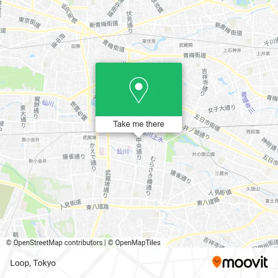 Loop map