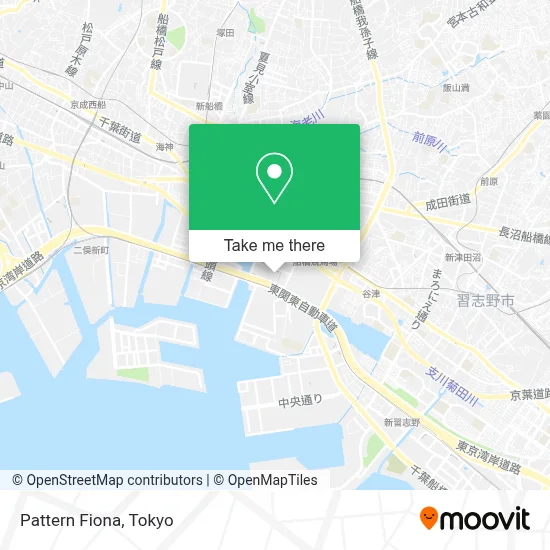 Pattern Fiona map