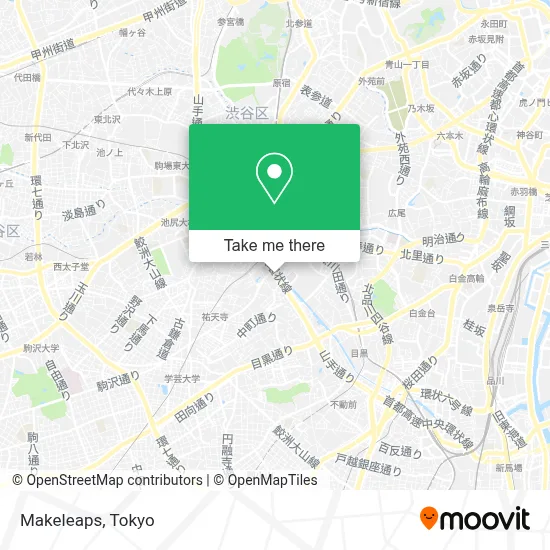 Makeleaps map