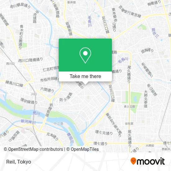 Reil map