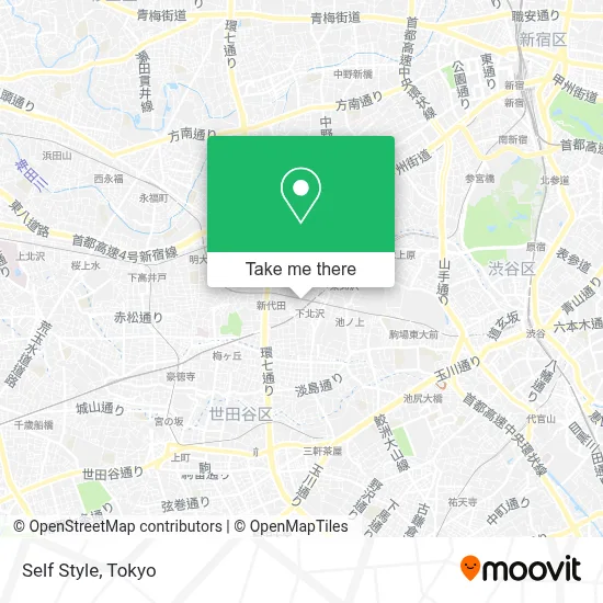 Self Style map