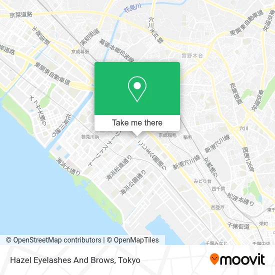 Hazel Eyelashes And Brows map