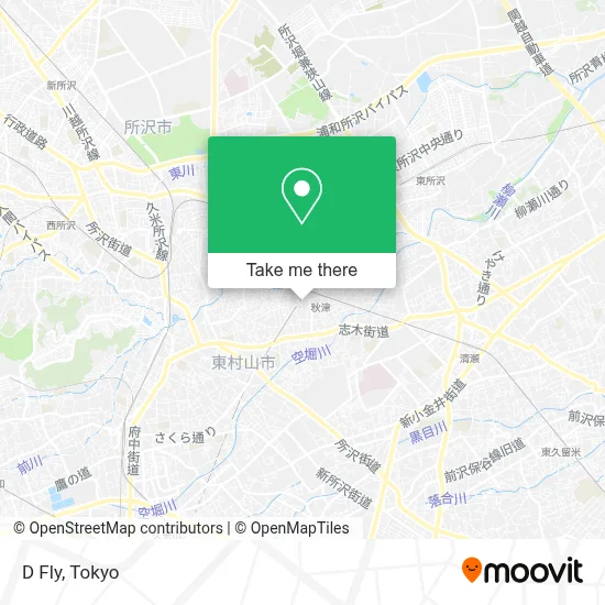 D Fly map