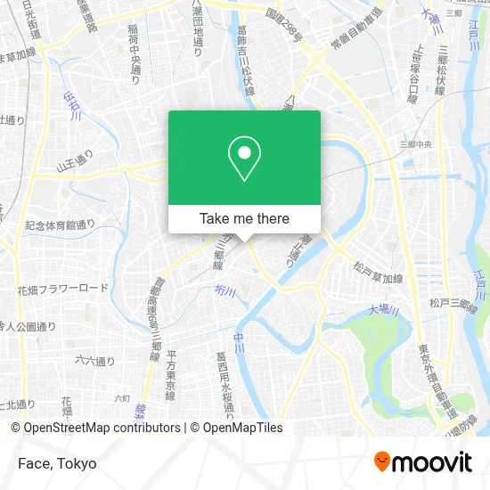 Face map