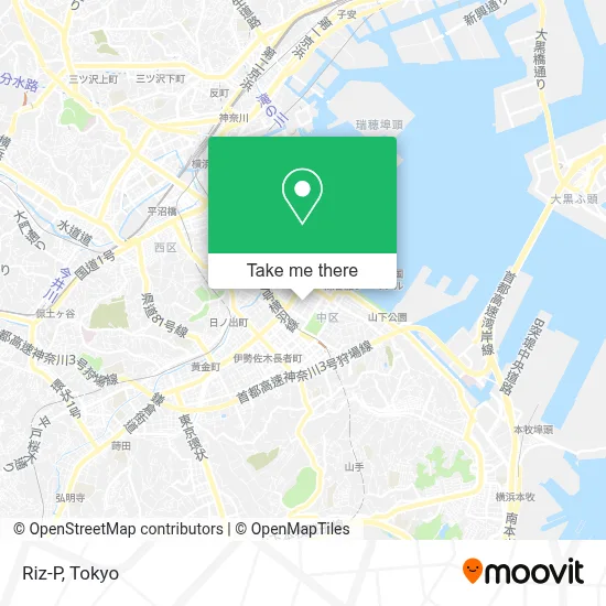 Riz-P map