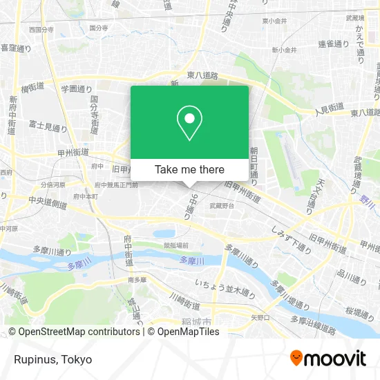 Rupinus map