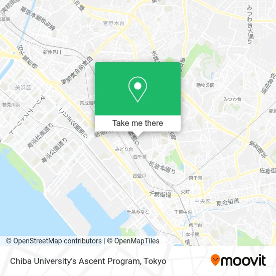 Chiba University's Ascent Program map