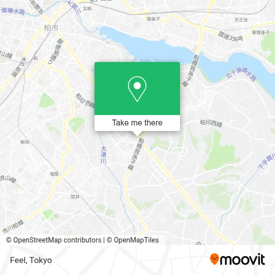 Feel map