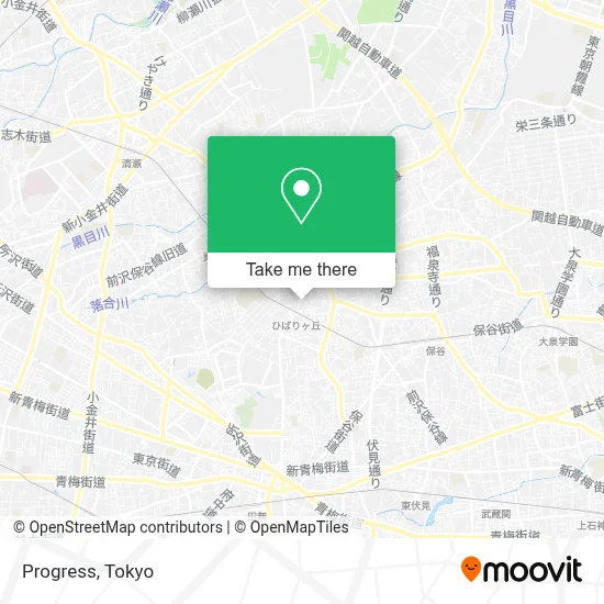 Progress map