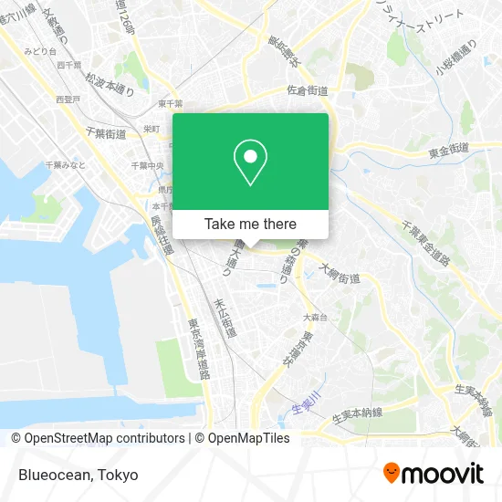Blueocean map
