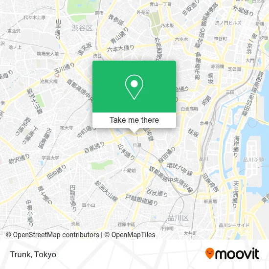Trunk map