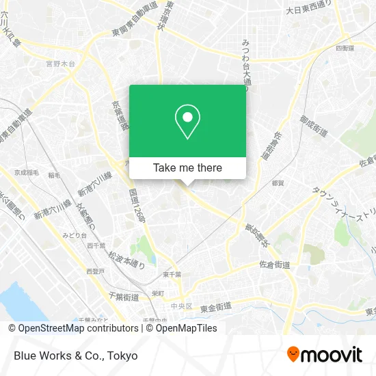Blue Works & Co. map