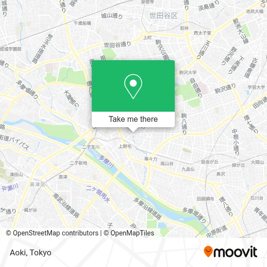 Aoki map