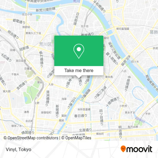 Vinyl map