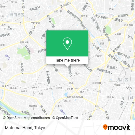 Maternal Hand map
