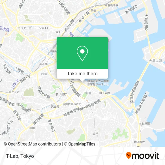 T-Lab map