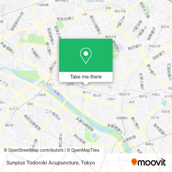 Sunplus Todoroki Acupuncture map