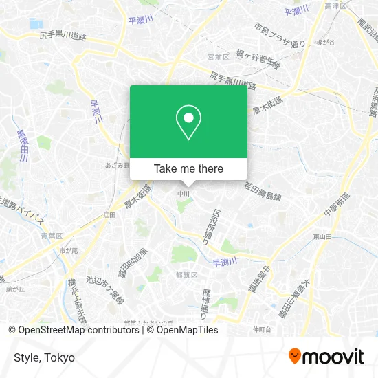 Style map