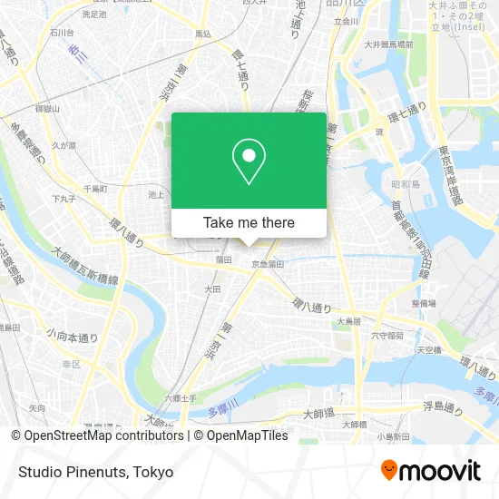 Studio Pinenuts map