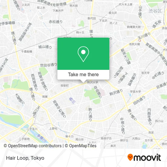 Hair Loop map