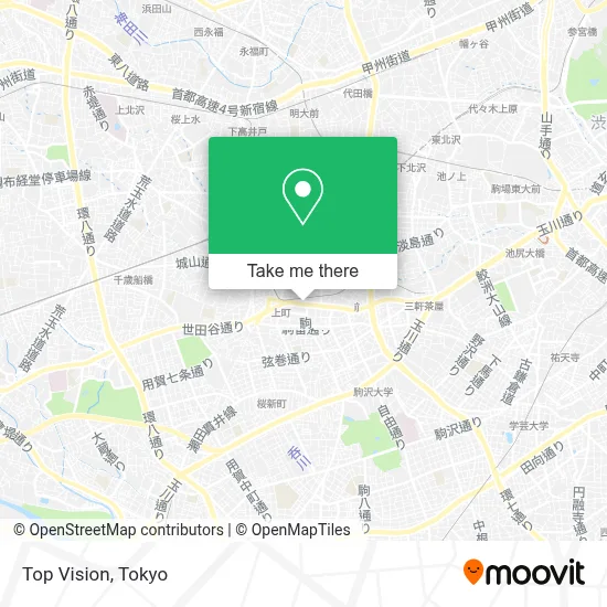 Top Vision map
